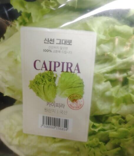 카이피라