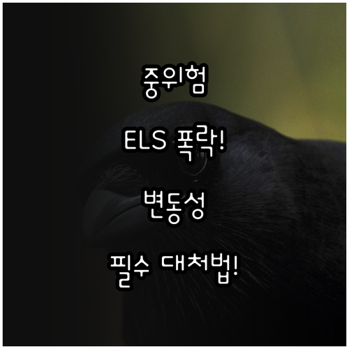 중위험 오인 금리 연동 ELS의 치명..