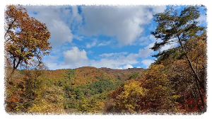 망경대산자연휴양림 