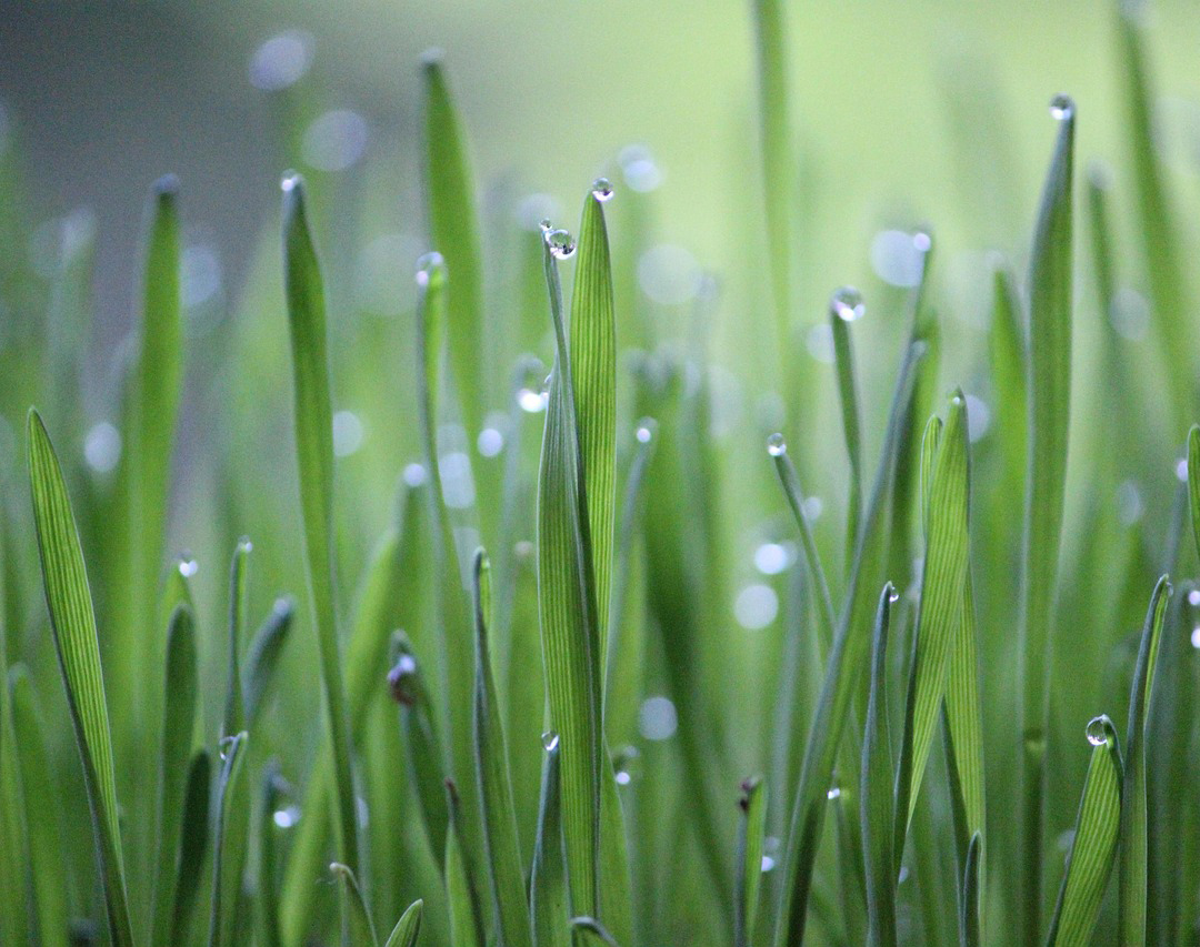 탄소중립포인트 신청