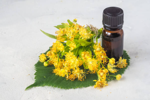 간 건강 실리마린의 역할, 효능과 부작용, 섭취 권장량