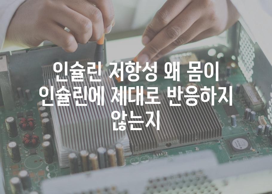 인슐린 저항성 왜 몸이 인슐린에 제대로 반응하지 않는지
