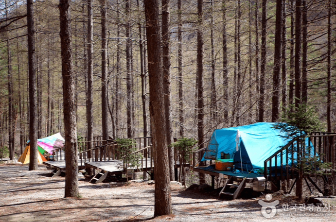 국립 청옥산 자연휴양림