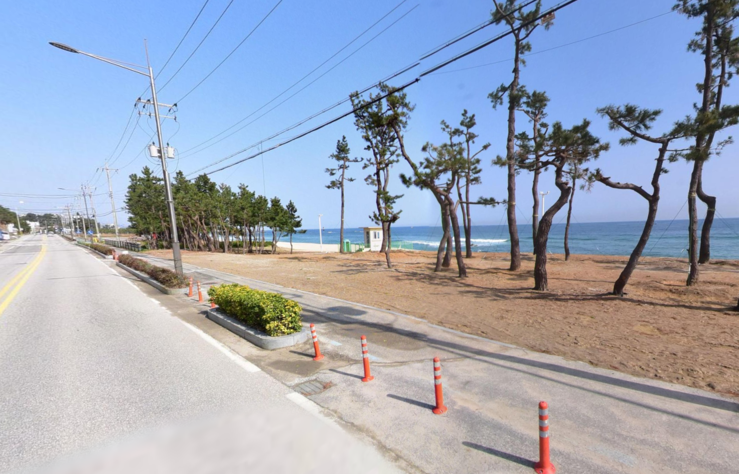 2024 경포마라톤대회 코스 사진