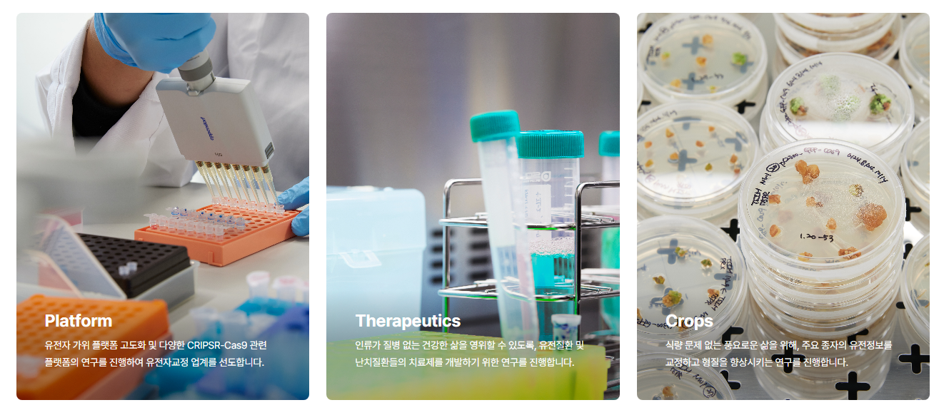 툴젠 주가 전망 주식 분석