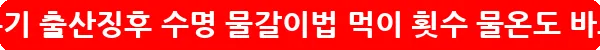 해마 키우기 출산징후 수명 물갈이법 먹이 횟수 물온도_13