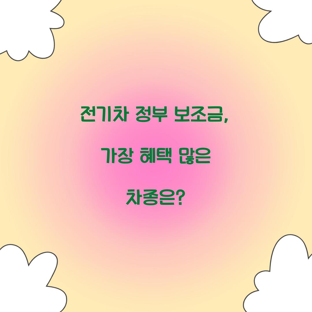 전기차 정부 보조금