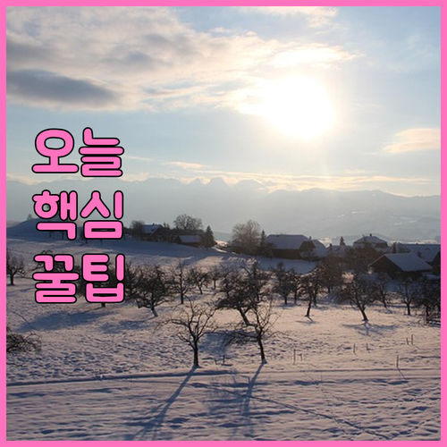 봉림동 폐기물 스티커, 어디서 사고 ..