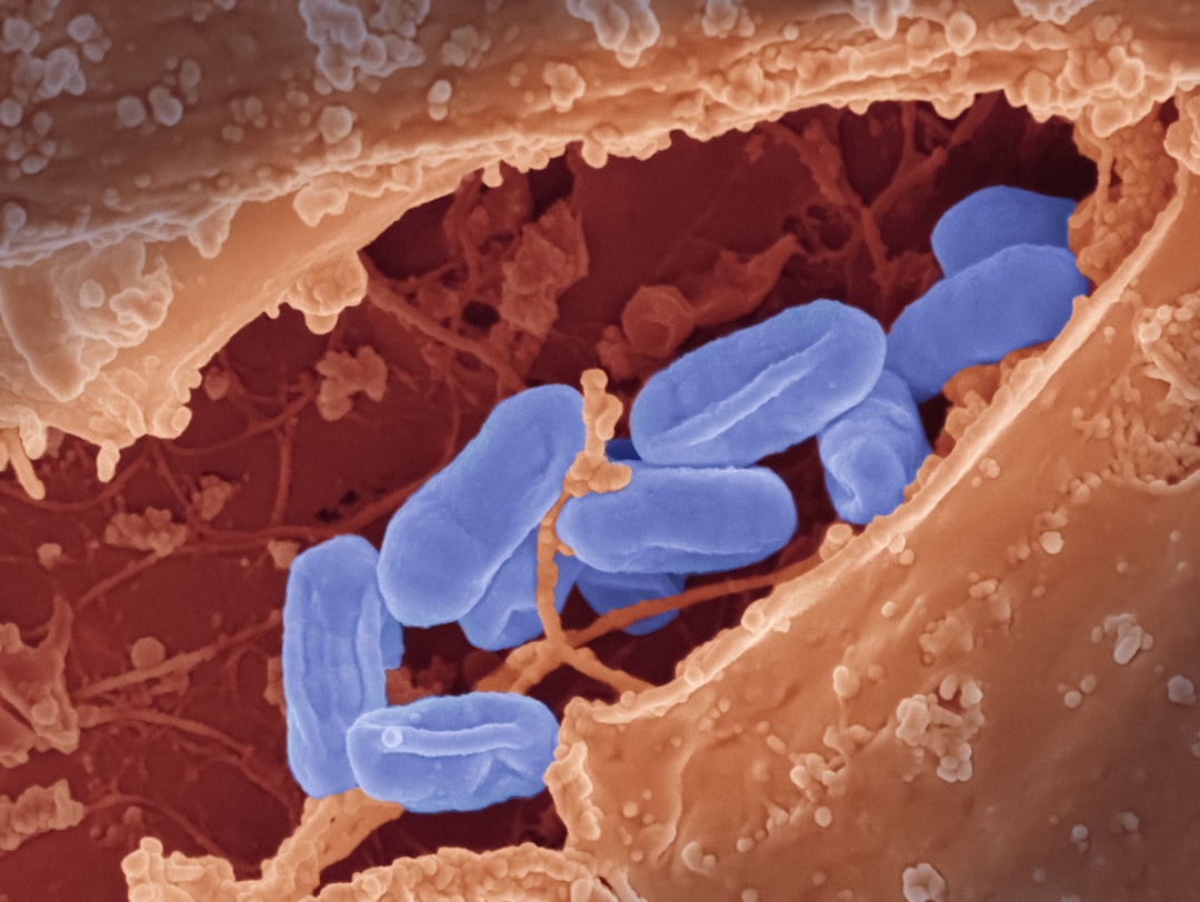 Helicobacter