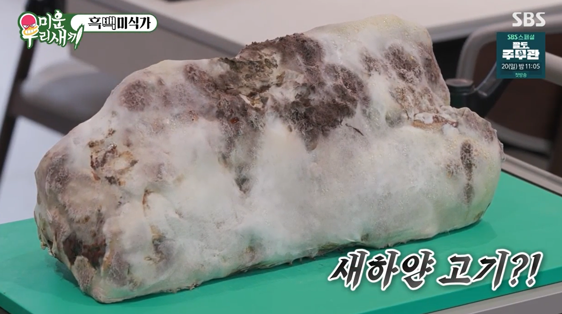 곰팡이로-뒤덮힌-새하얀-고기