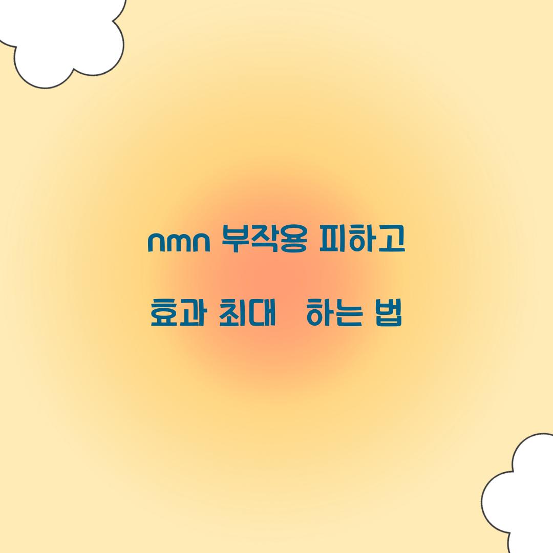 nmn 부작용