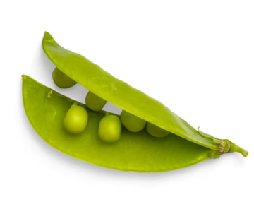 완두콩 효능 부작용 영양성분 먹는법 고르는법