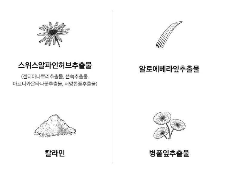 더샘 커버 퍼펙션 팁컨실러