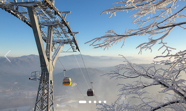 전국 스키장 개장일