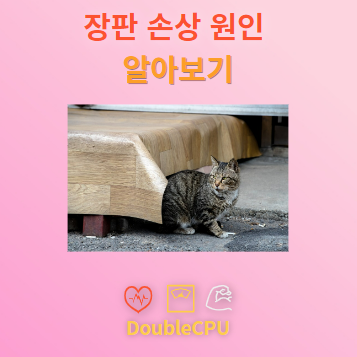 장판 손상 원인 알아보기