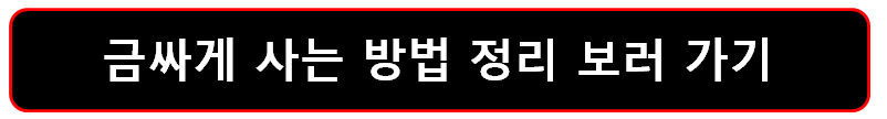 금싸게 사는 방법 정리 보러가기