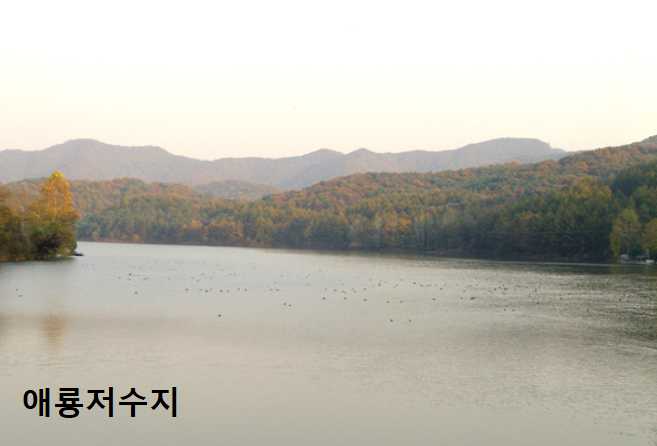 파주 가볼만한 곳