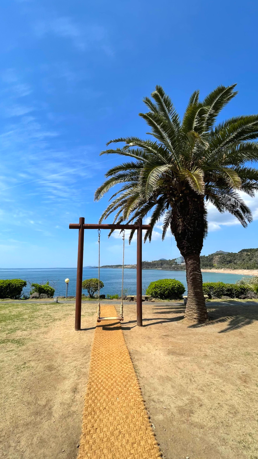 중문 색달 해수욕장 야자수와 그네2