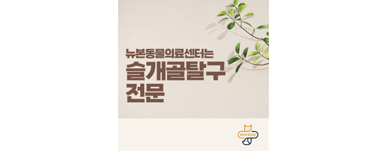 평택시 동물병원