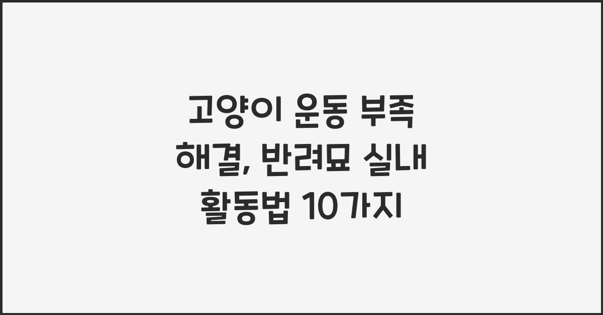 고양이 운동 부족 해결, 반려묘 실내 활동법