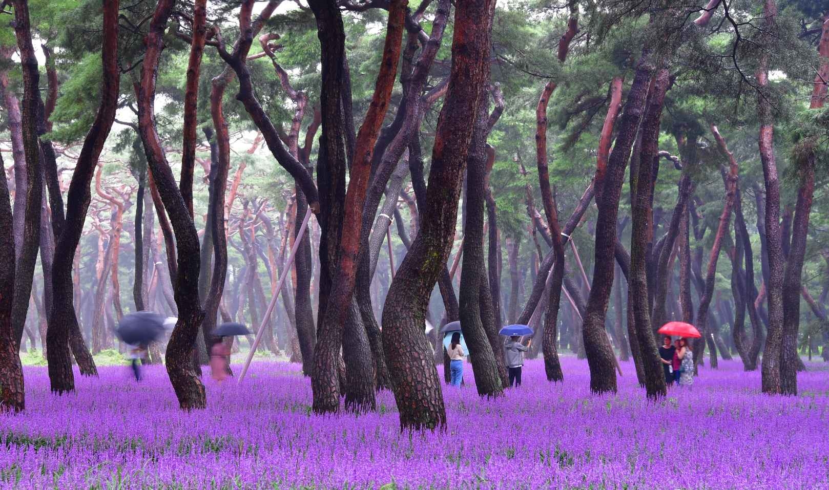 경주 황성공원