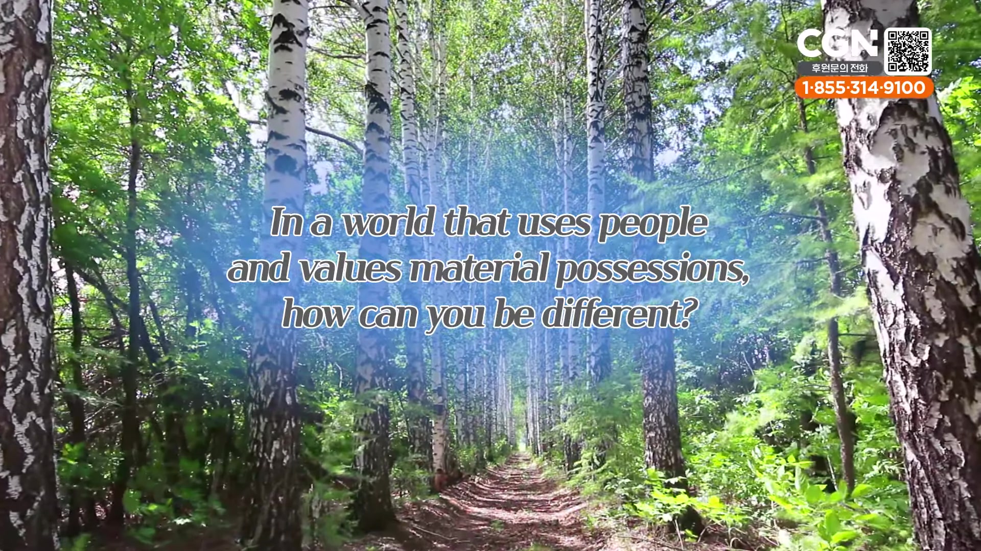 In a world that uses people and values material possessions, how can you be different?