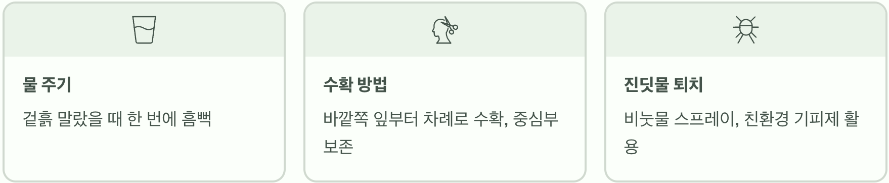 어수리모종 잘 키우는 햇빛, 통풍 관리 노하우