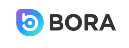 보라 코인 로고