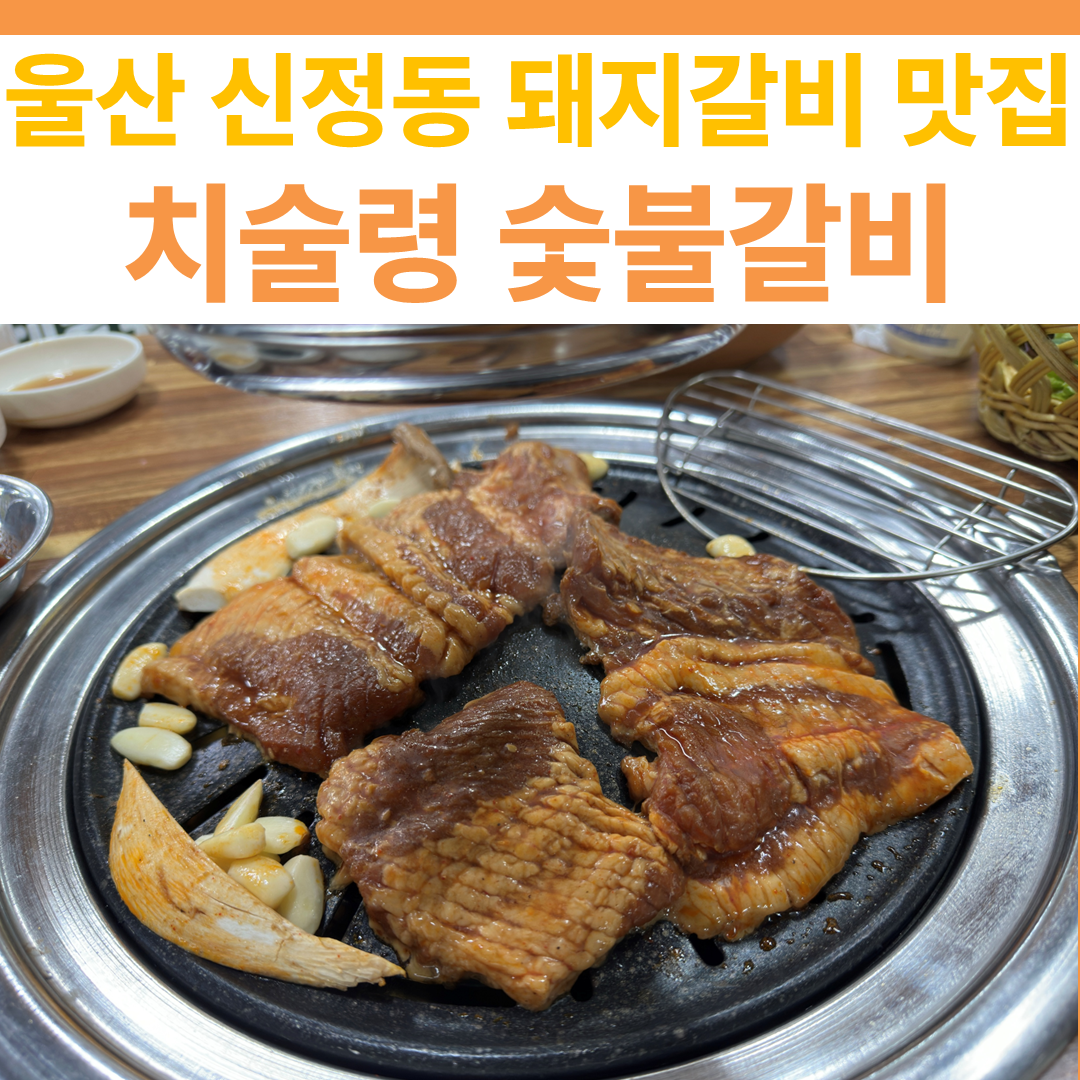 치술령 숯불갈비 썸네일