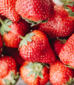 딸기 효능 부작용 칼로리 고르는법