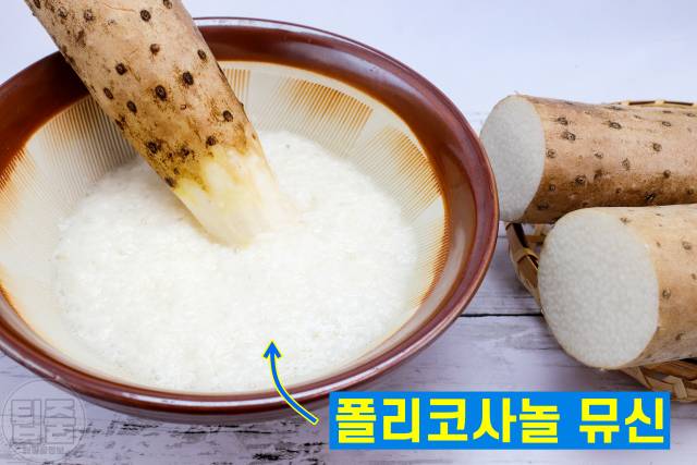 HDL콜레스테롤 높이는 음식 방법,혈관에 좋은 음식 참마