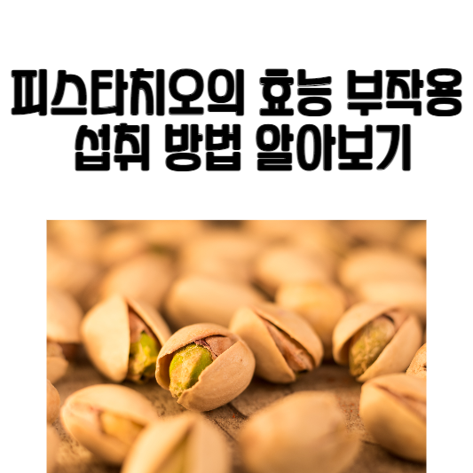 피스타치오의 효능과 부작용, 섭취 방법