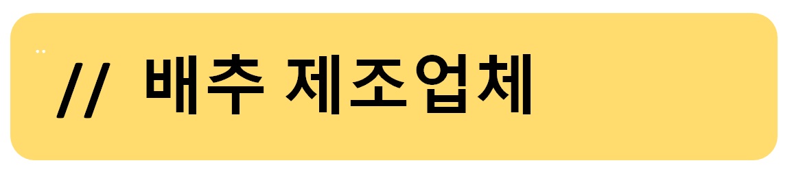 배추 제조업체