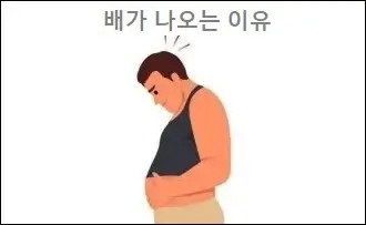 배가 나오는 이유