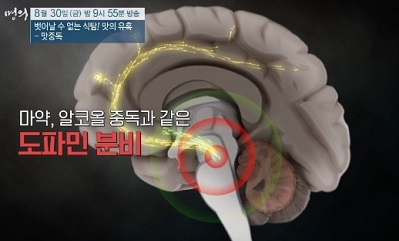 도파민분비