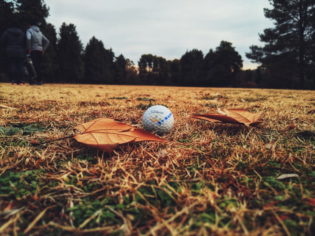 Park golf.