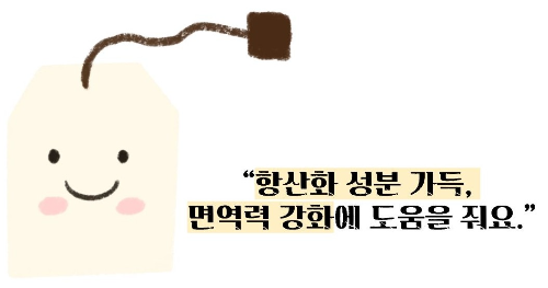 돼지감자차 효능과 부작용