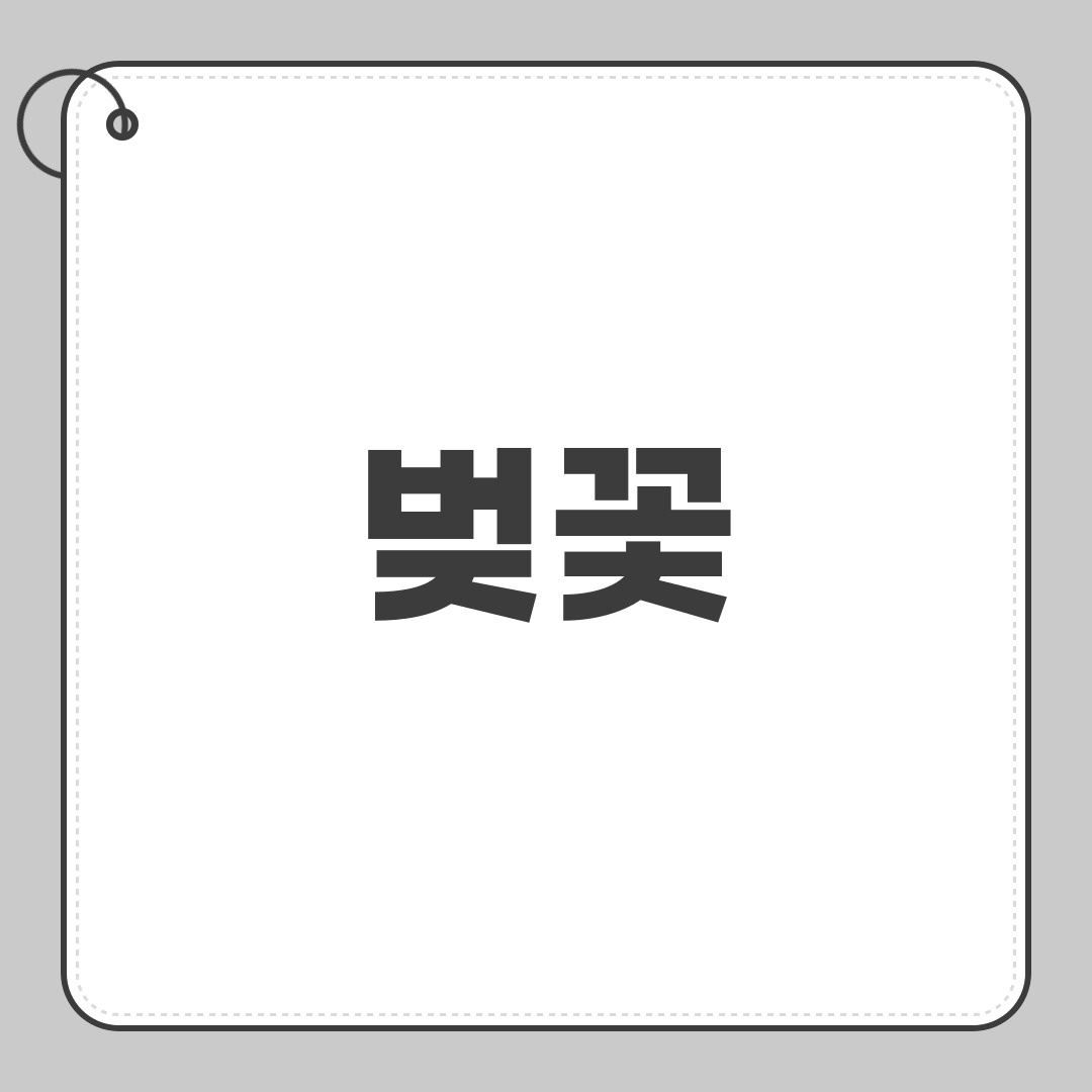 벚꽃