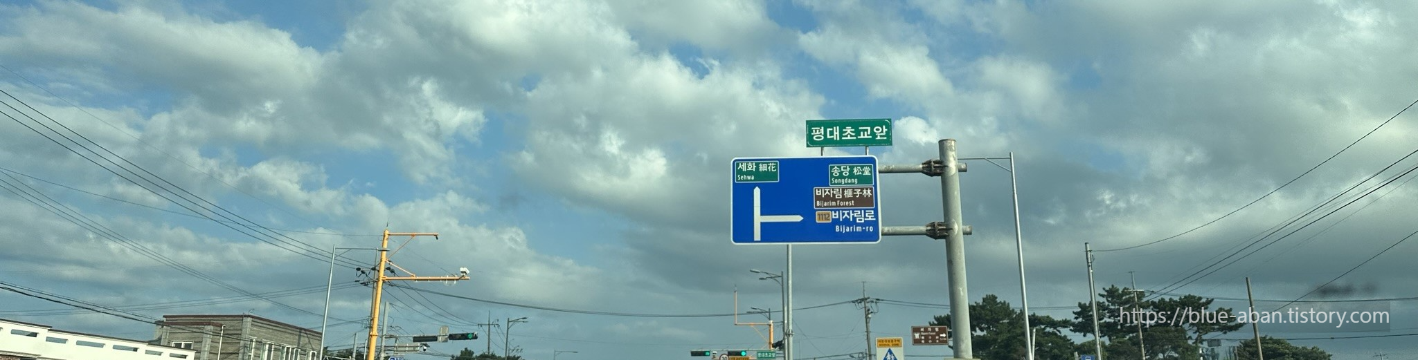 비자림로