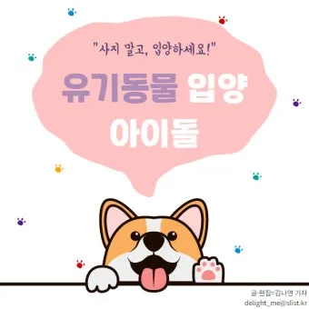 네글자 동물이름과 어려운 동물이름 모음 정리_9