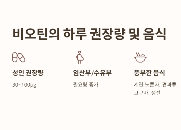 비오틴의 하루 권장량