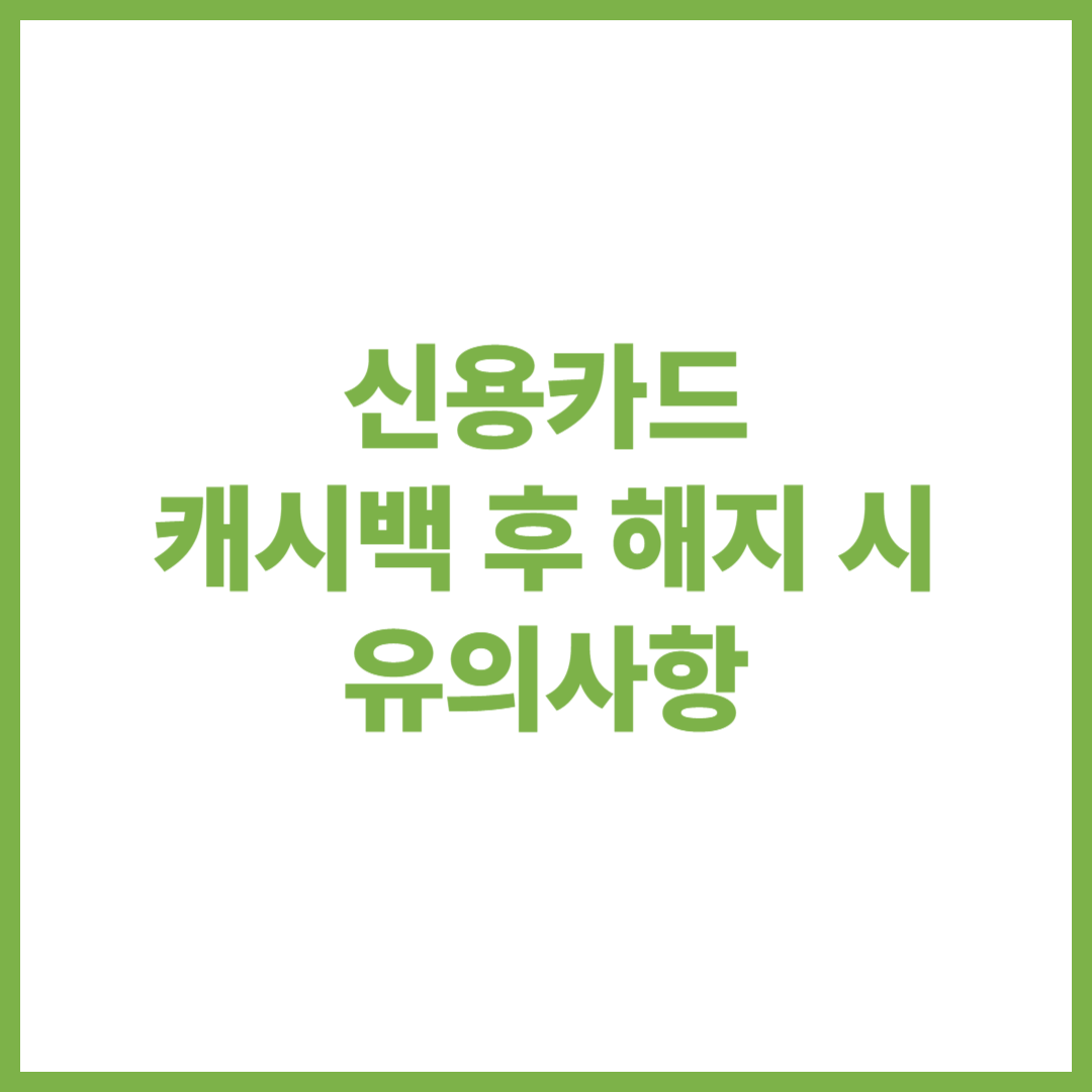 신용카드 캐시백