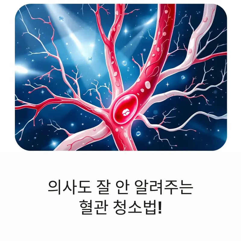 혈관 내부를 청소하는 듯한 이미지와 함께, 의사도 잘 알려주지 않는 혈관 청소법을 강조하는 건강 정보 그래픽
