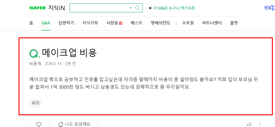 메이크업 진로 질문 지식인