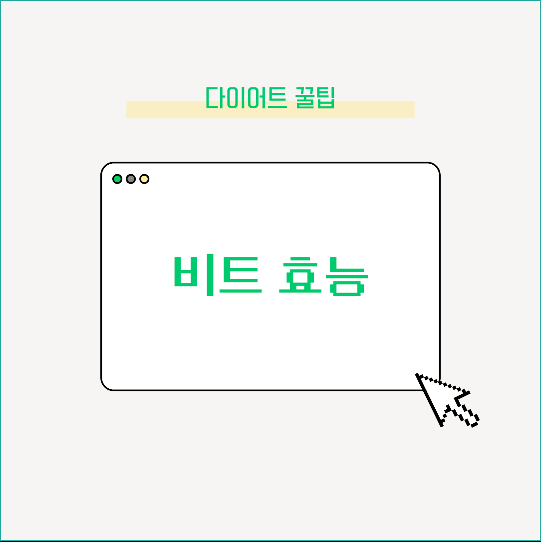 비트 효능 영양이 꽤 탄탄한 채소