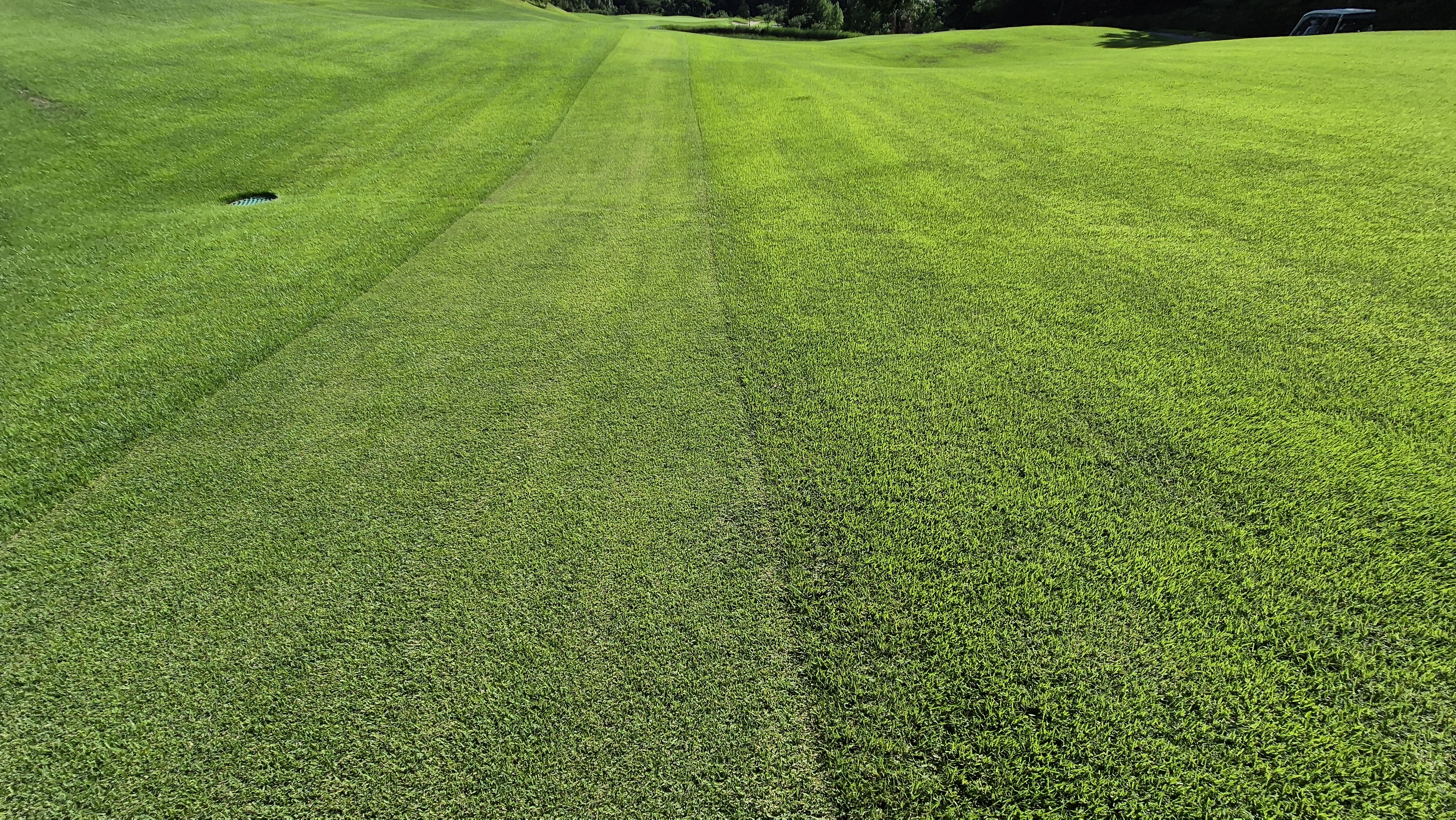 SG 아름다운cc 라운드 후기