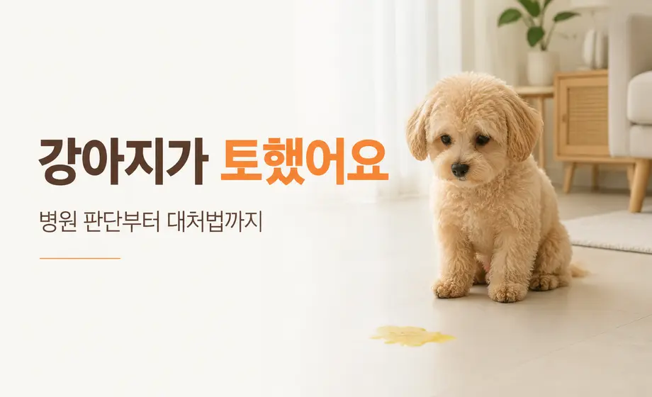 강아지가 토했을 때 병원 판단과 대처 방법
