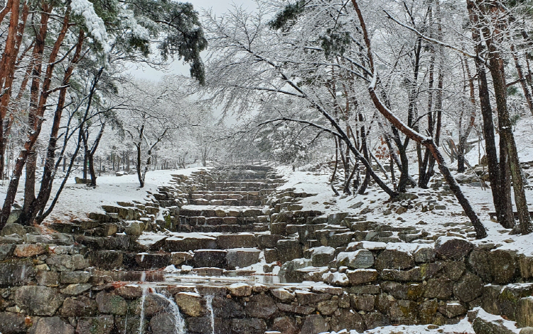 대봉산 자연휴양림