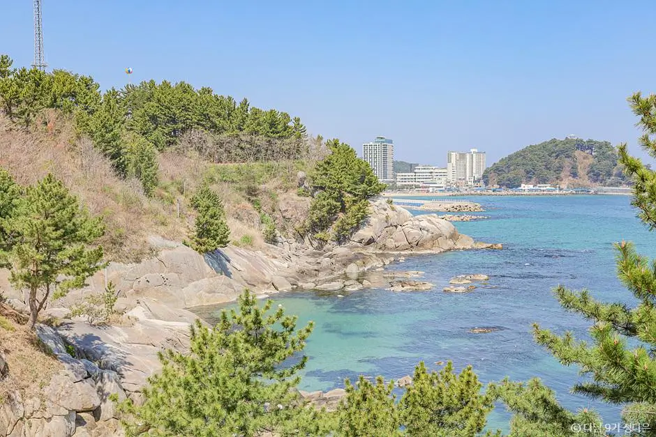 38068f25-5c39-474f-8da4-377b8dde4076