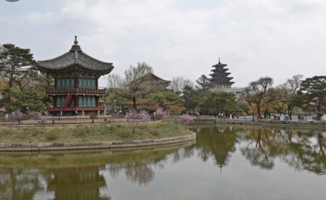 경복궁달빛야행 행사정보유의사항